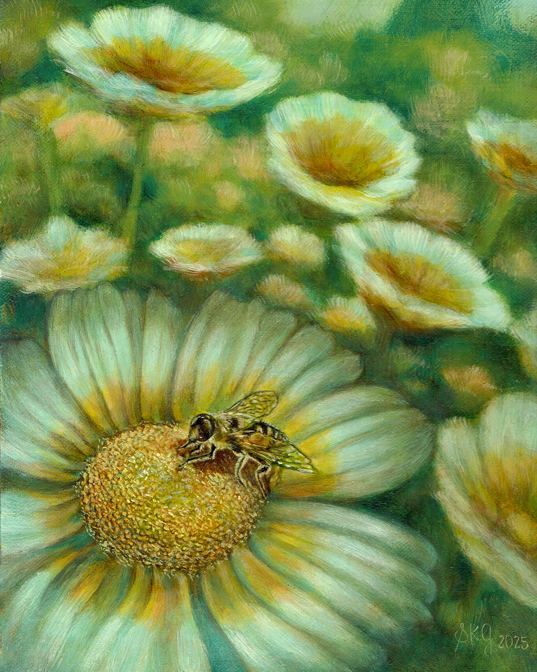 Shungiku Blooms – Summer Gathering 8X10 inches