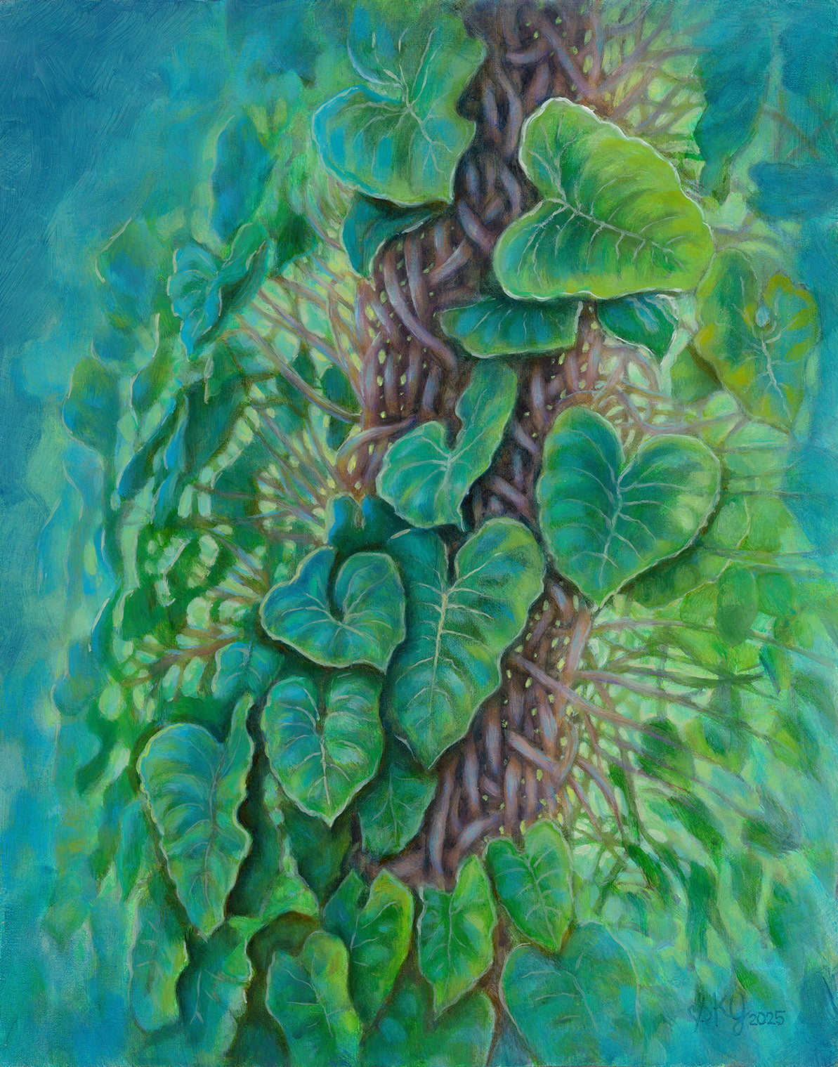 Native Vine Study 11X14 inches