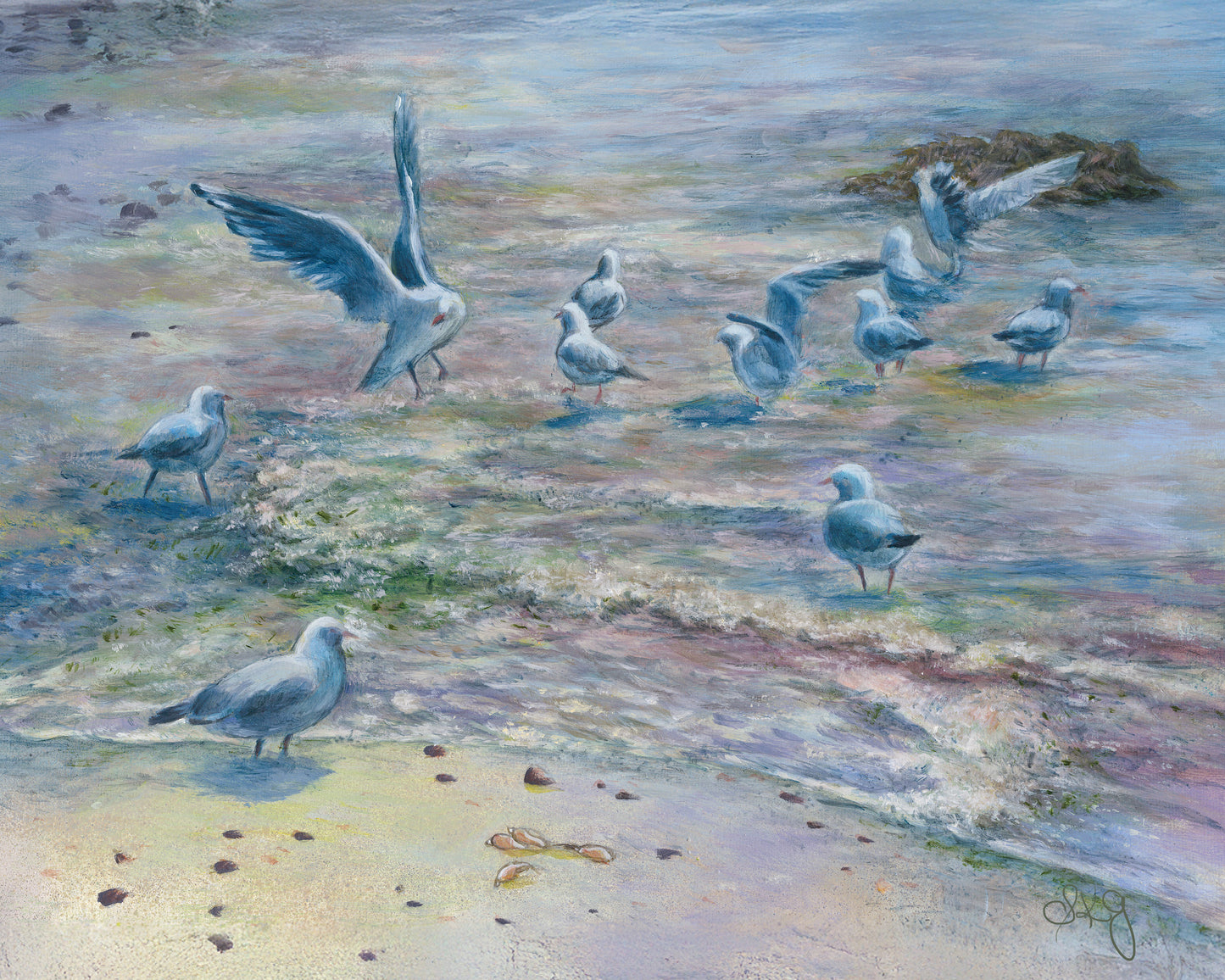 Seagulls at Hampden Beach 8X10 inches